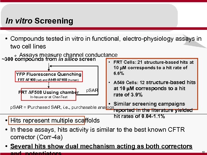 In vitro Screening • Compounds tested in vitro in functional, electro-physiology assays in two
