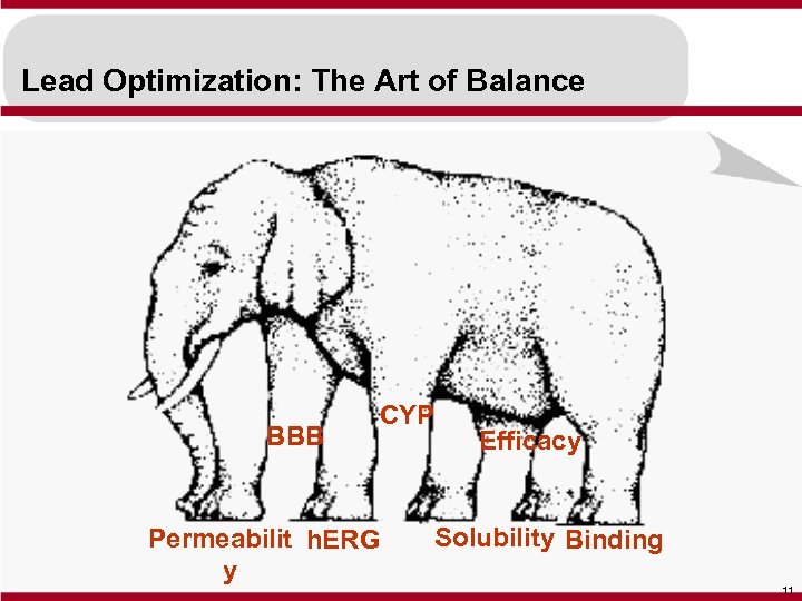 Lead Optimization: The Art of Balance BBB CYP Permeabilit h. ERG y Efficacy Solubility