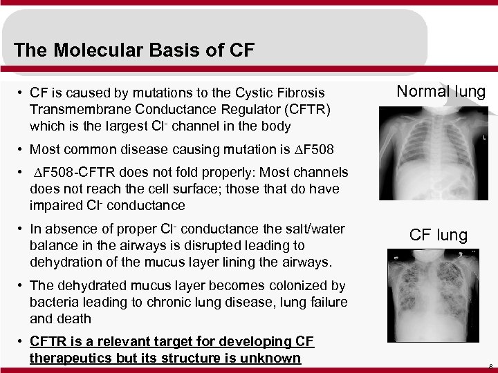 The Molecular Basis of CF • CF is caused by mutations to the Cystic