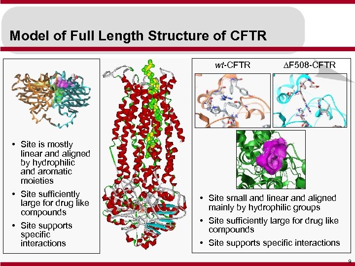 Model of Full Length Structure of CFTR wt-CFTR • Site is mostly linear and