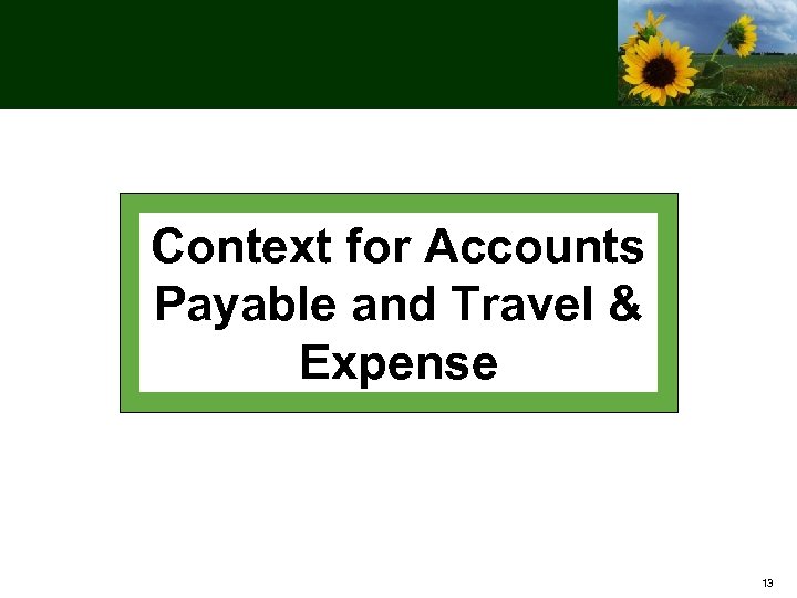 Context for Accounts Payable and Travel & Expense 13 