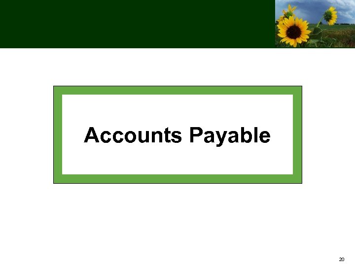 Accounts Payable 20 