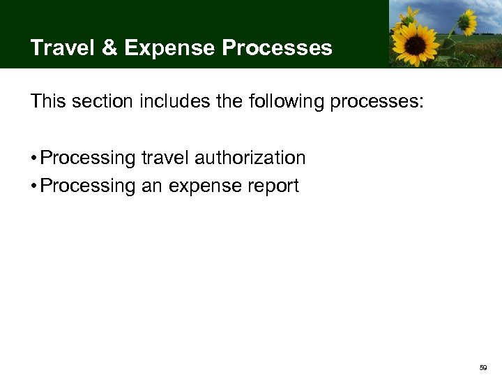 Travel & Expense Processes This section includes the following processes: • Processing travel authorization