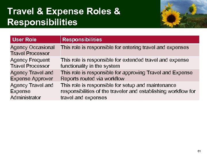 Travel & Expense Roles & Responsibilities User Role Agency Occasional Travel Processor Agency Frequent