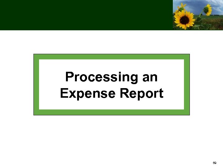Processing an Expense Report 69 