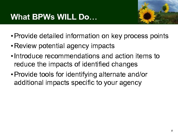 What BPWs WILL Do… • Provide detailed information on key process points • Review