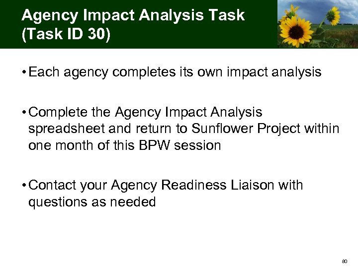 Agency Impact Analysis Task (Task ID 30) • Each agency completes its own impact