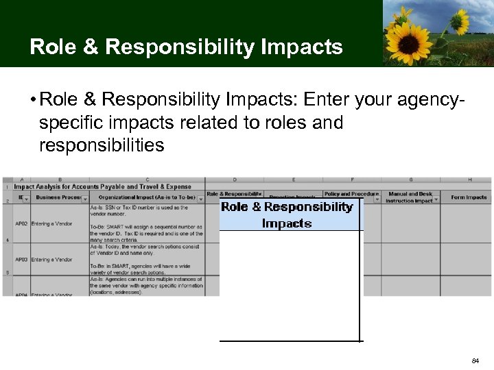 Role & Responsibility Impacts • Role & Responsibility Impacts: Enter your agencyspecific impacts related
