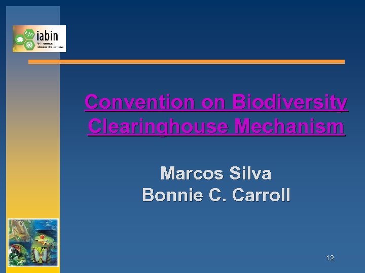 Convention on Biodiversity Clearinghouse Mechanism Marcos Silva Bonnie C. Carroll 12 