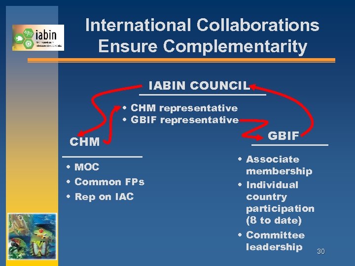 International Collaborations Ensure Complementarity IABIN COUNCIL • CHM representative • GBIF representative CHM •