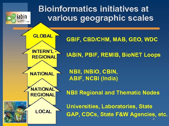 Bioinformatics initiatives at various geographic scales GLOBAL INTERN’L REGIONAL NATIONAL REGIONAL LOCAL GBIF, CBD/CHM,