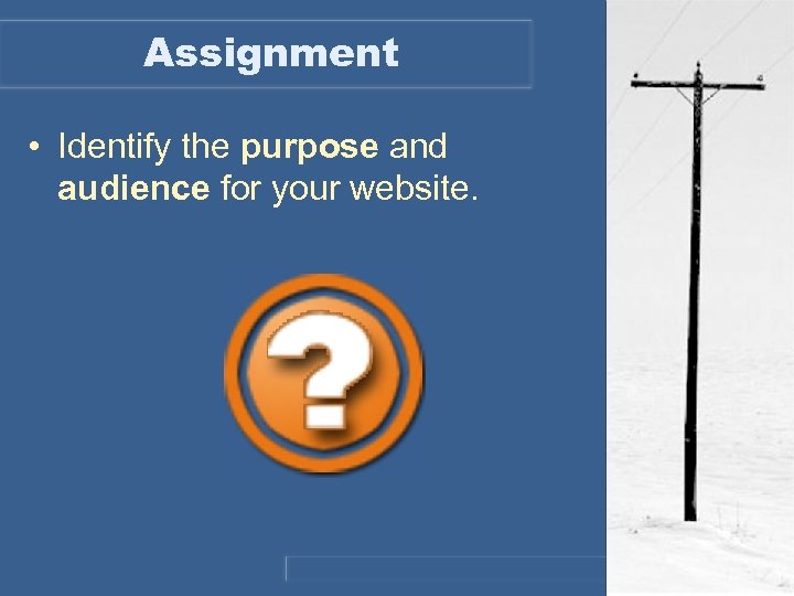 Assignment • Identify the purpose and audience for your website. 