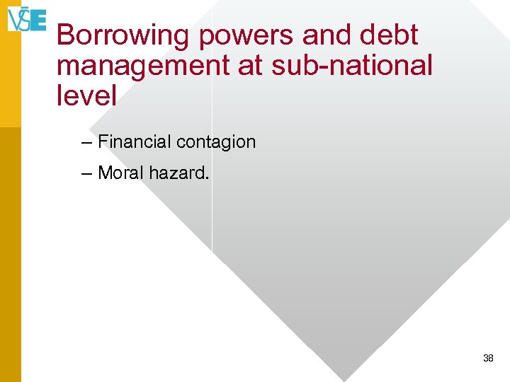 Borrowing powers and debt management at sub-national level – Financial contagion – Moral hazard.