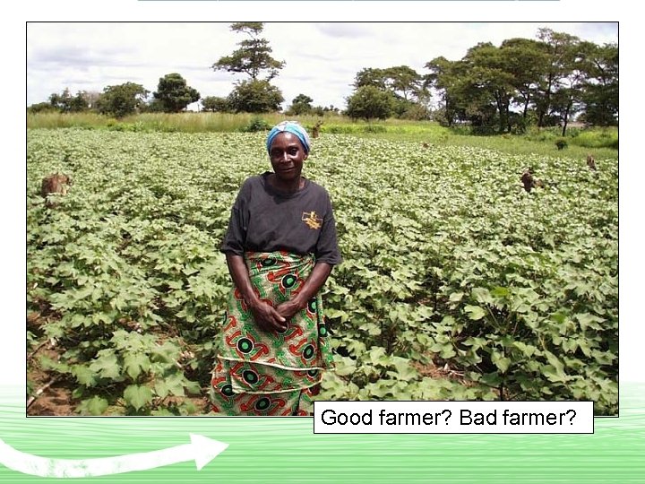 Good farmer? Bad farmer? 