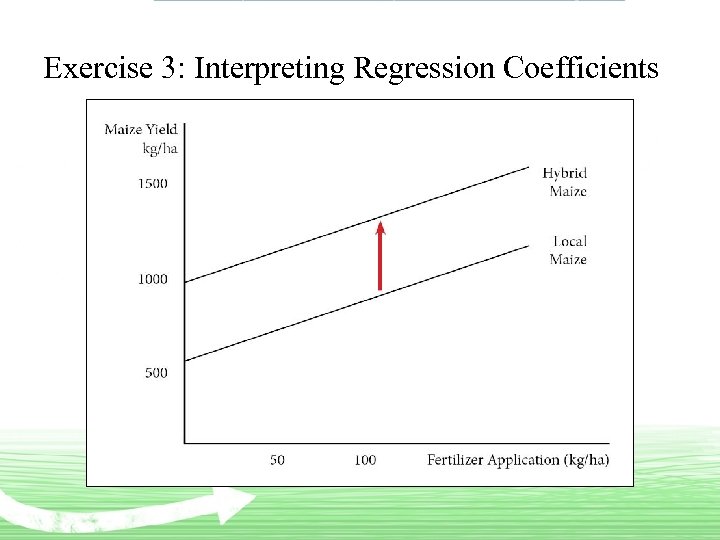 Exercise 3: Interpreting Regression Coefficients 