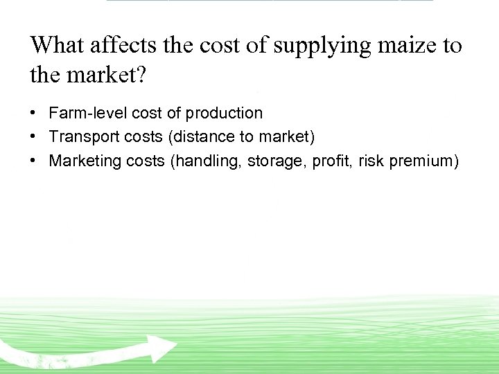 What affects the cost of supplying maize to the market? • Farm-level cost of