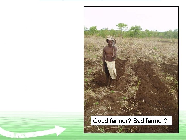 Good farmer? Bad farmer? 