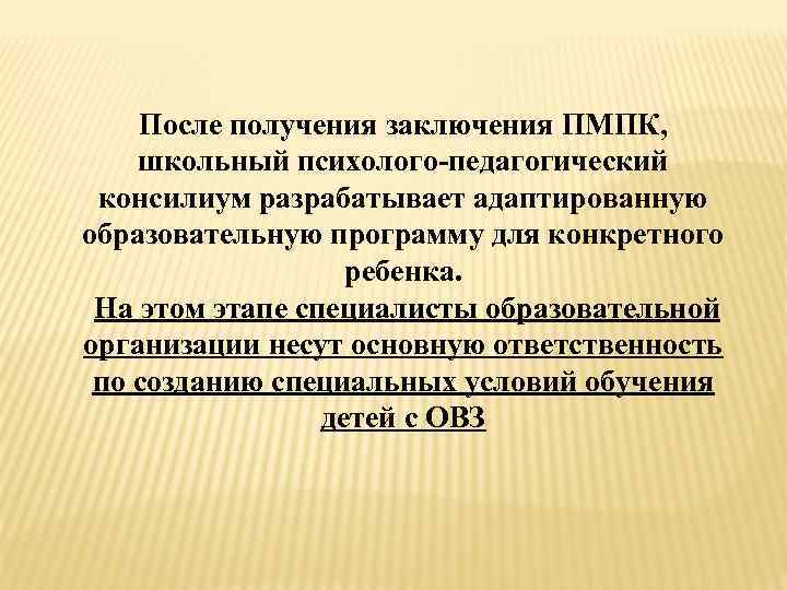 После получения заключения ПМПК, школьный психолого-педагогический консилиум разрабатывает адаптированную образовательную программу для конкретного ребенка.