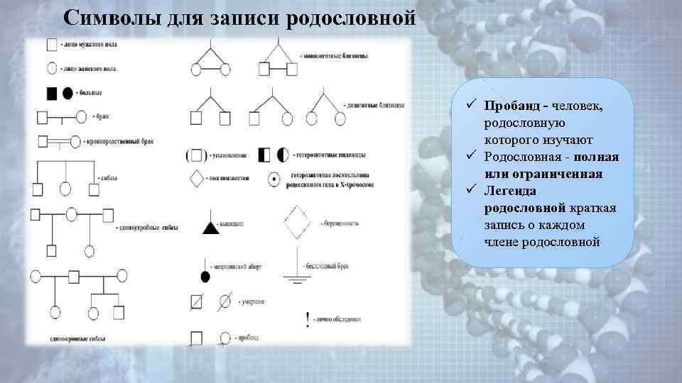 Символы для записи родословной ü Пробанд - человек, родословную которого изучают ü Родословная -