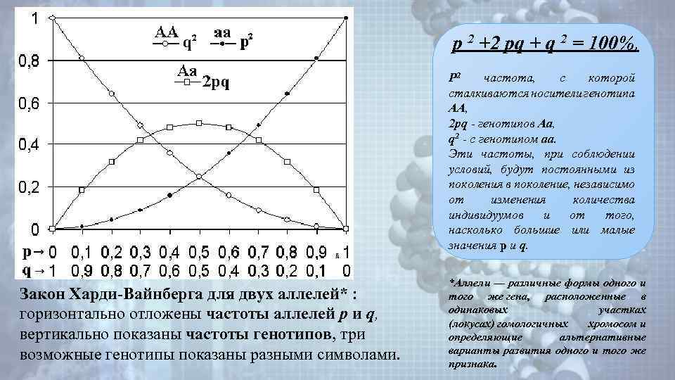 р 2 +2 pq + q 2 = 100%, Р 2 частота, с которой