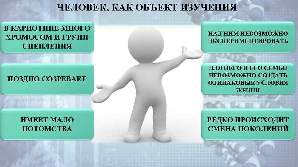 ЧЕЛОВЕК, КАК ОБЪЕКТ ИЗУЧЕНИЯ В КАРИОТИПЕ МНОГО ХРОМОСОМ И ГРУПП СЦЕПЛЕНИЯ НАД НИМ НЕВОЗМОЖНО