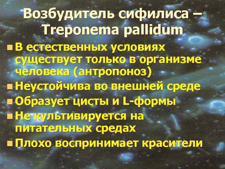 Возбудитель сифилиса – Treponema pallidum n. В естественных условиях существует только в организме человека