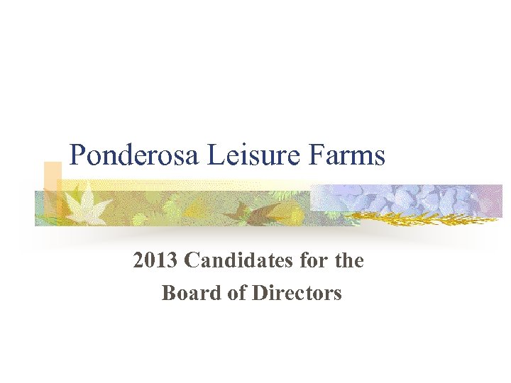 Ponderosa Leisure Farms 2013 Candidates for the Board of Directors 