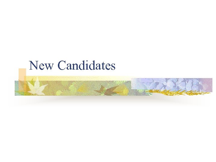 New Candidates 