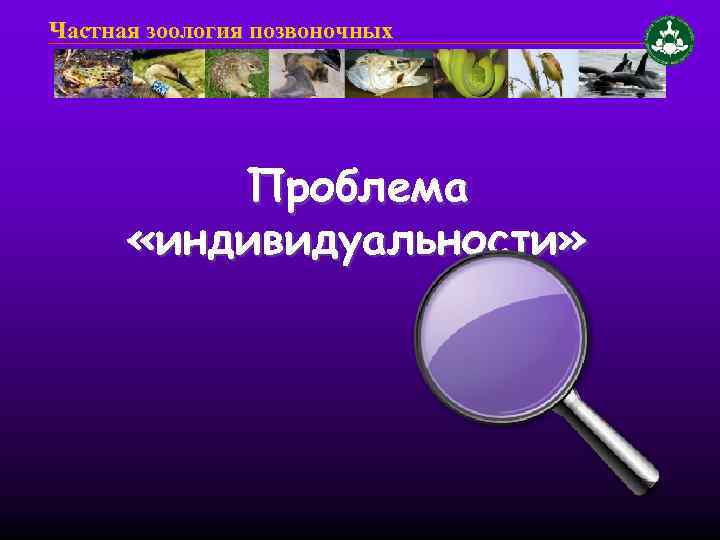 Частная зоология позвоночных Проблема «индивидуальности» 