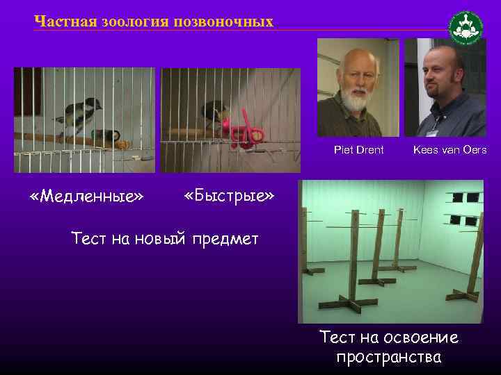 Частная зоология позвоночных Piet Drent «Медленные» Kees van Oers «Быстрые» Тест на новый предмет