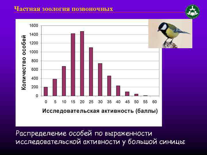 Частная зоология позвоночных Распределение особей по выраженности исследовательской активности у большой синицы 