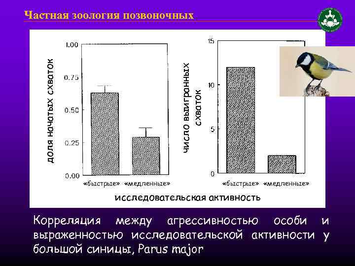 число выигранных схваток доля начатых схваток Частная зоология позвоночных «быстрые» «медленные» исследовательская активность Корреляция