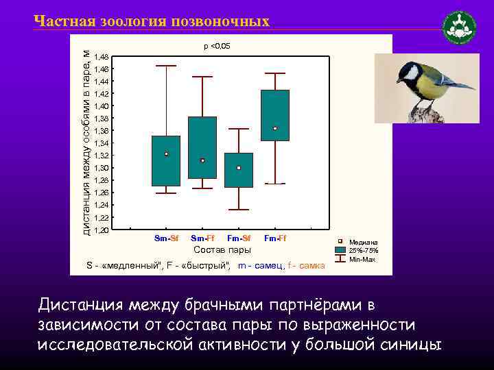 дистанция между особями в паре, м Частная зоология позвоночных p <0, 05 1, 48