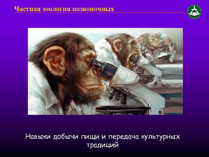 Частная зоология позвоночных Навыки добычи пищи и передача культурных традиций 