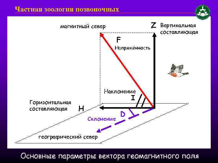 Модуль горизонтальной составляющей скорости