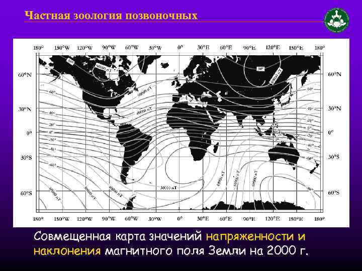 Частная зоология позвоночных Совмещенная карта значений напряженности и наклонения магнитного поля Земли на 2000