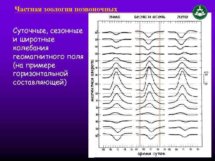 Частная зоология позвоночных Суточные, сезонные и широтные колебания геомагнитного поля (на примере горизонтальной составляющей)