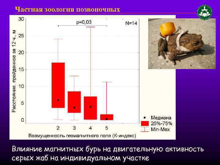 Частная зоология позвоночных Влияние магнитных бурь на двигательную активность серых жаб на индивидуальном участке