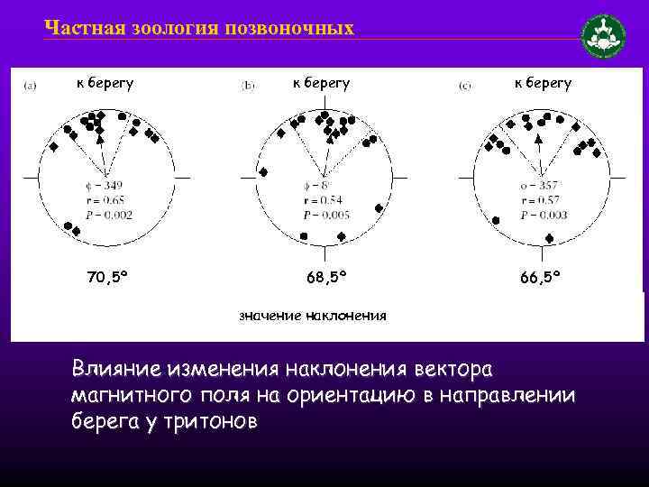 Частная зоология позвоночных к берегу 70, 5º к берегу 68, 5º к берегу 66,