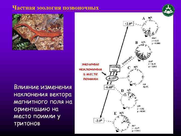 Частная зоология позвоночных значение наклонения в месте поимки Влияние изменения наклонения вектора магнитного поля