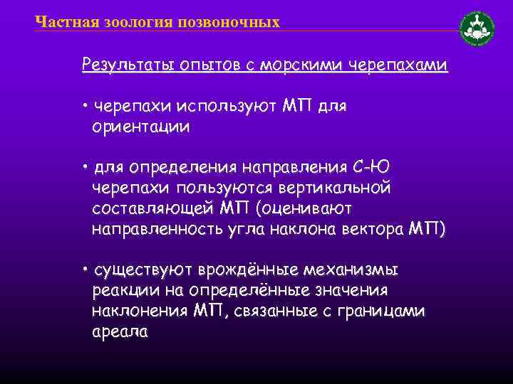 Частная зоология позвоночных Результаты опытов с морскими черепахами • черепахи используют МП для ориентации