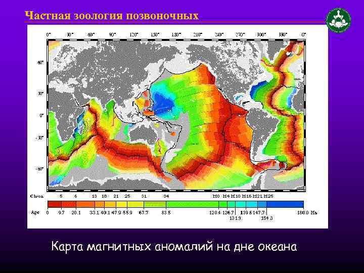 Частная зоология позвоночных Карта магнитных аномалий на дне океана 