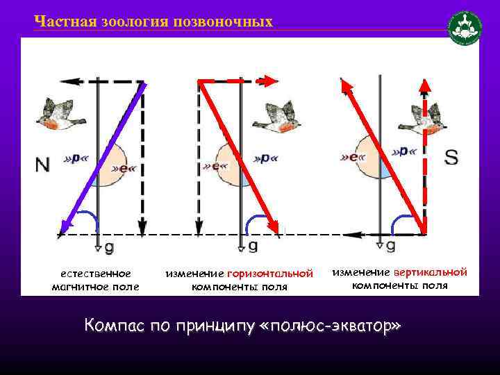 Как меняется горизонтальная