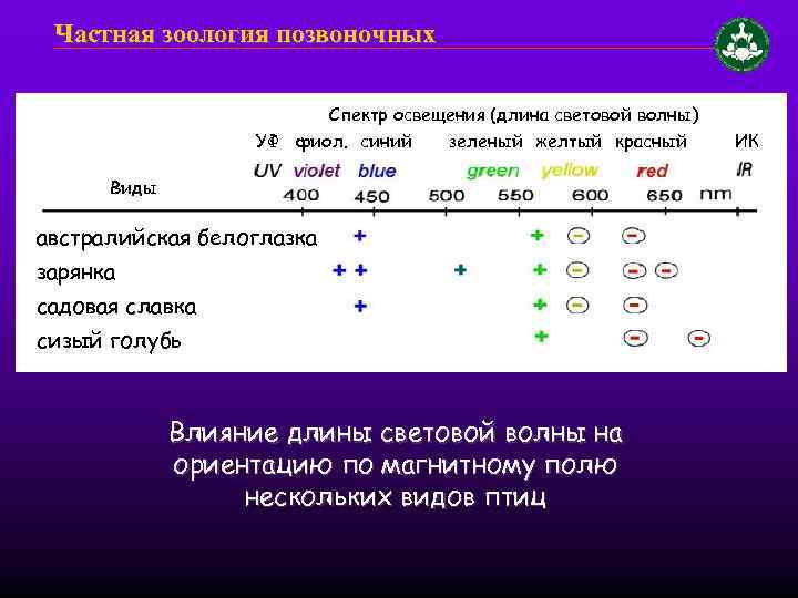 Частная зоология позвоночных Спектр освещения (длина световой волны) УФ фиол. синий зеленый желтый красный