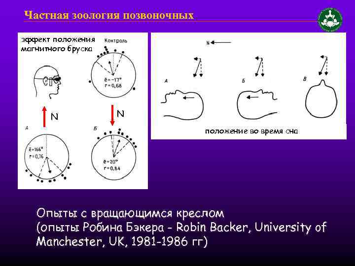 Положение n. Эффект положения то. Как открыть магниторецепцию.