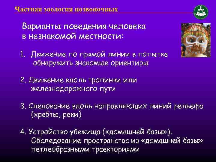 Частная зоология позвоночных Варианты поведения человека в незнакомой местности: 1. Движение по прямой линии