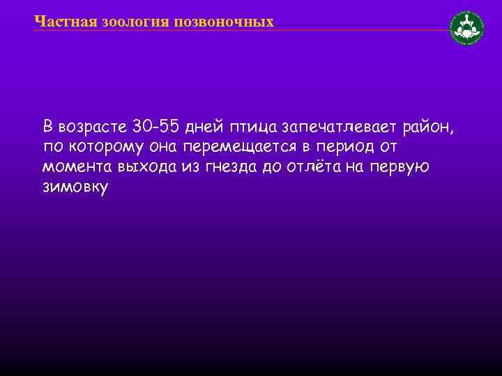 Частная зоология позвоночных В возрасте 30 -55 дней птица запечатлевает район, по которому она