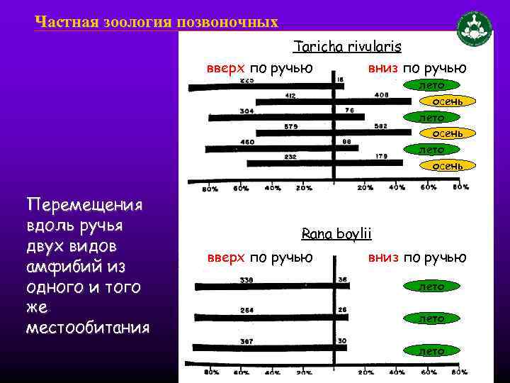 Частная зоология позвоночных Taricha rivularis вверх по ручью вниз по ручью лето осень Перемещения