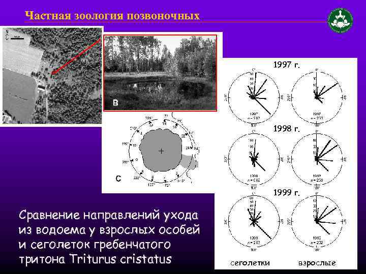 Частная зоология позвоночных 1997 г. 1998 г. 1999 г. Сравнение направлений ухода из водоема