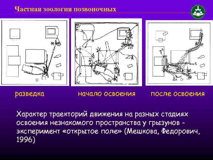 Частная зоология позвоночных разведка начало освоения после освоения Характер траекторий движения на разных стадиях